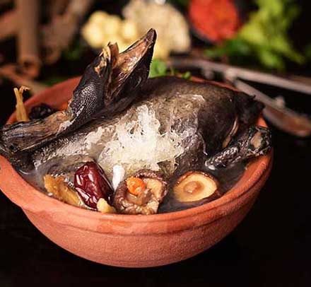 Ga Tiem Thuoc Bac Yen Sao