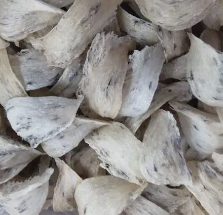Nguoi cao tuoi co su dung duoc yen sao
