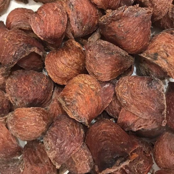 yen huyet dao la gi? Cong dung than ky cua yen huyet dao Nha Trang